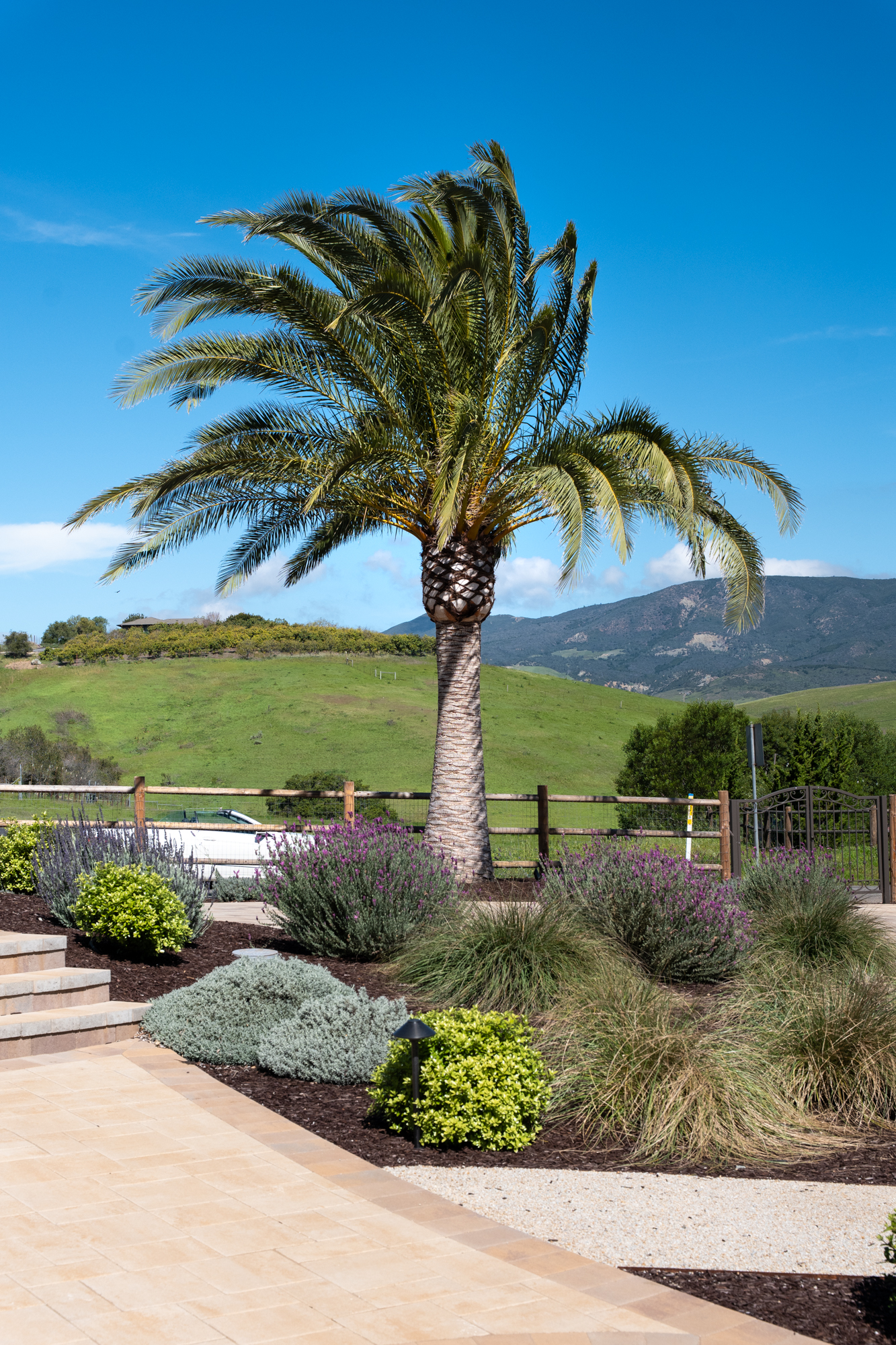 1444 Paseo WEB-37