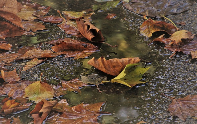 drainage